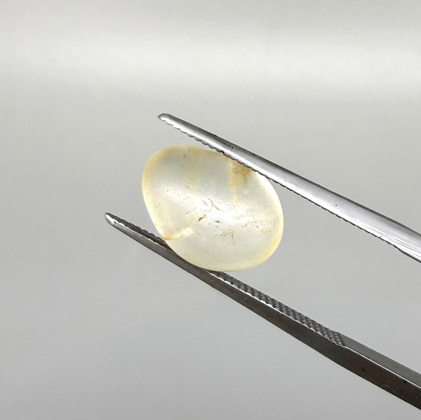 Natural champagne-gold topaz rough with warm golden tones, uncut and untreated, photographed on neutral background.