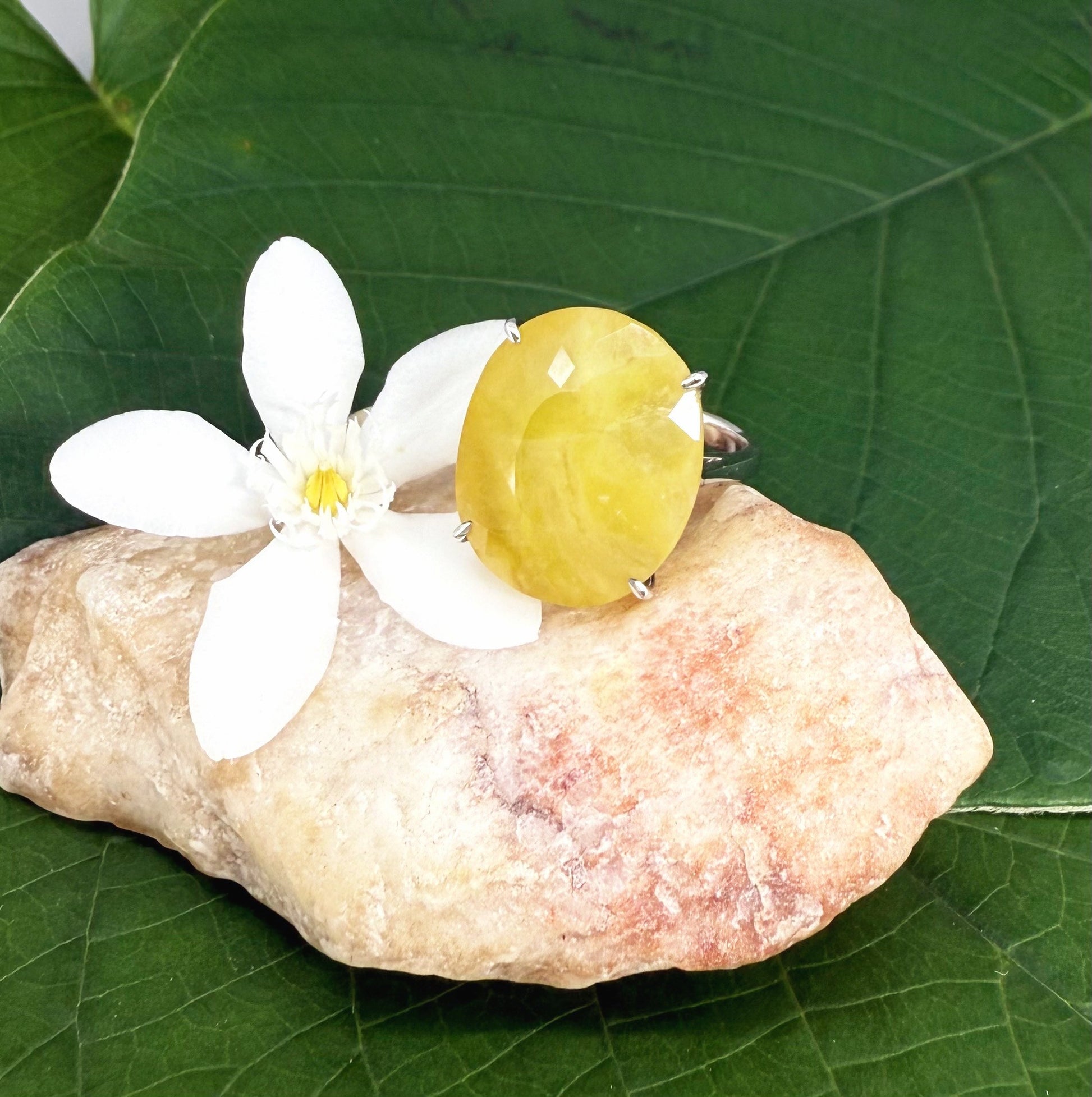 Yellow opal ring in white gold plated sterling silver, featuring a smooth natural gemstone with soft glow, elegant and refined design.
