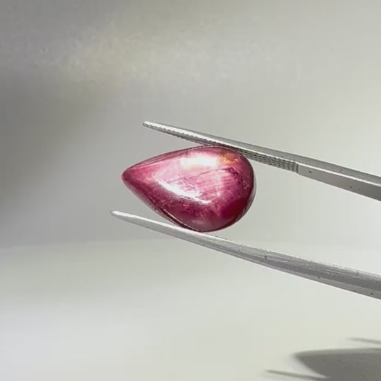13.8 ct natural pear-shaped Star Ruby medallion cut, polished on both sides with a soft star effect and glossy surface, Mozambique.