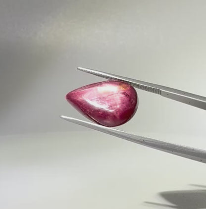 13.8 ct natural pear-shaped Star Ruby medallion cut, polished on both sides with a soft star effect and glossy surface, Mozambique.