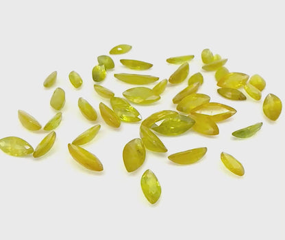 Bi-Color (Yellow Green) Sapphire Marquise Lot 52.2 Ct